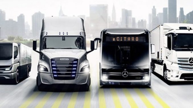 Daimler truck global line up